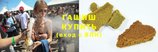 шишки Бородино