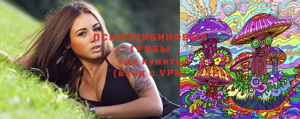 МДПВ Бронницы
