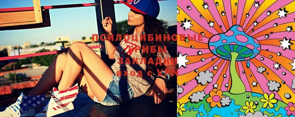 шишки Бородино