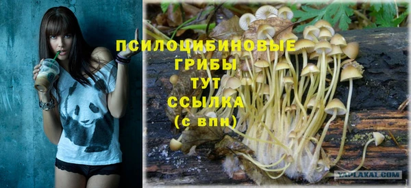 шишки Бородино