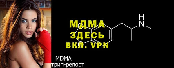 шишки Бородино