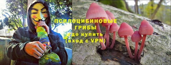 шишки Бородино