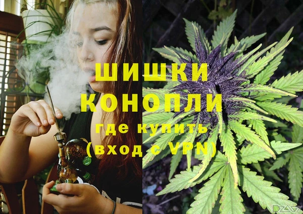 МДПВ Бронницы