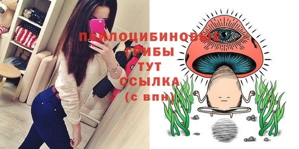 МДПВ Бронницы