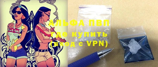 шишки Бородино