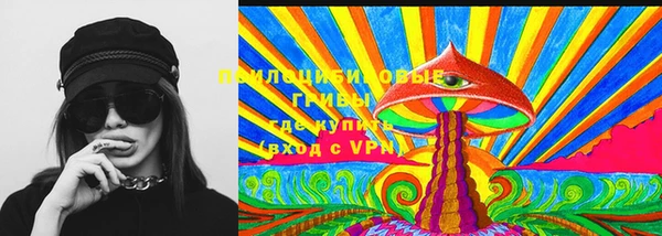 МДПВ Бронницы