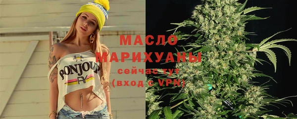шишки Бородино