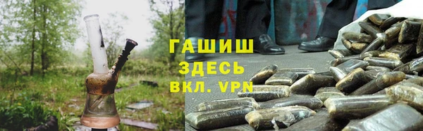 шишки Бородино