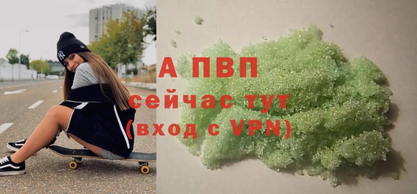 шишки Бородино