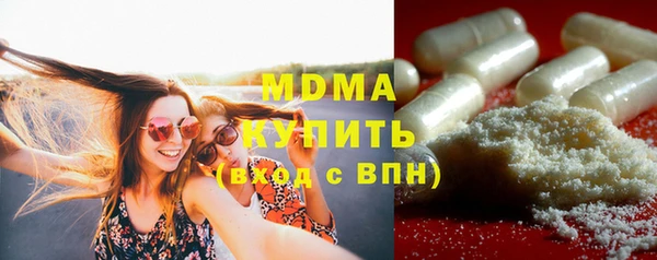 шишки Бородино