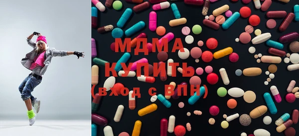 шишки Бородино